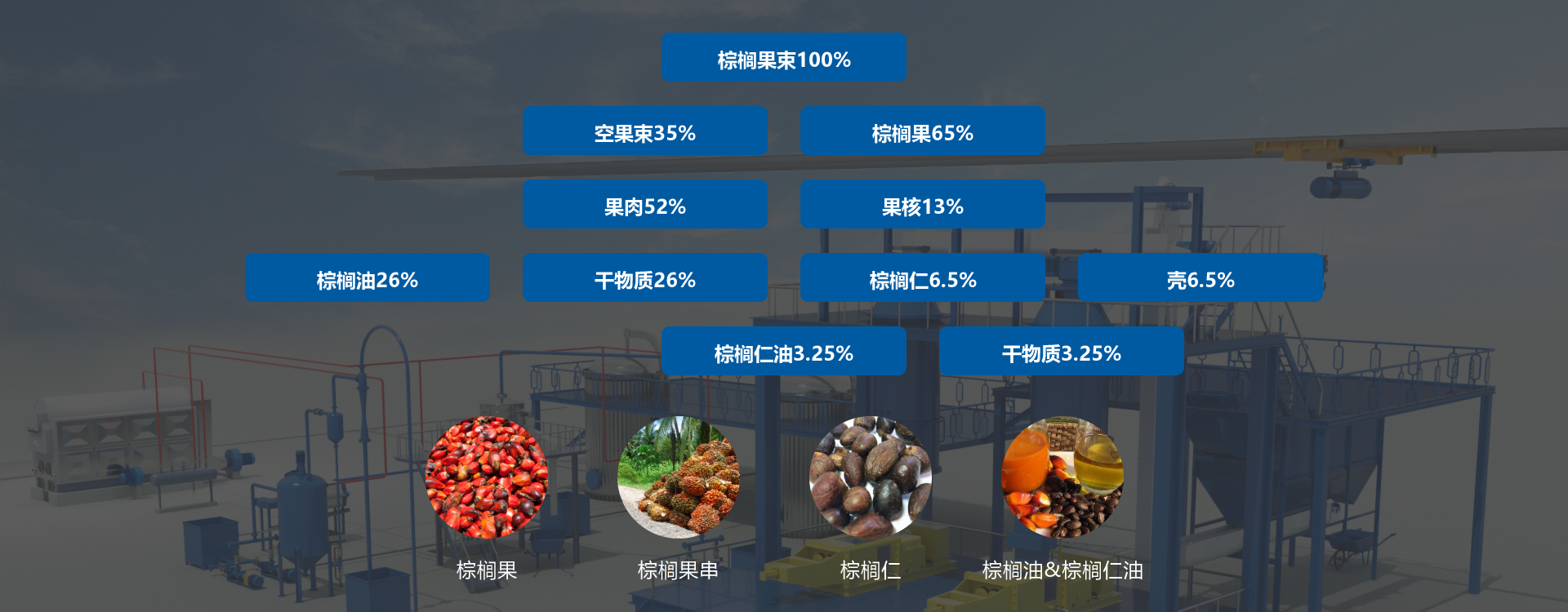 棕櫚油加工設(shè)備