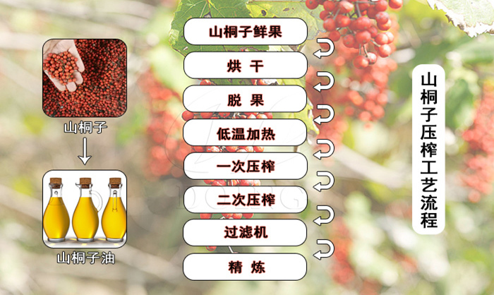 山桐子油壓榨生產(chǎn)線
