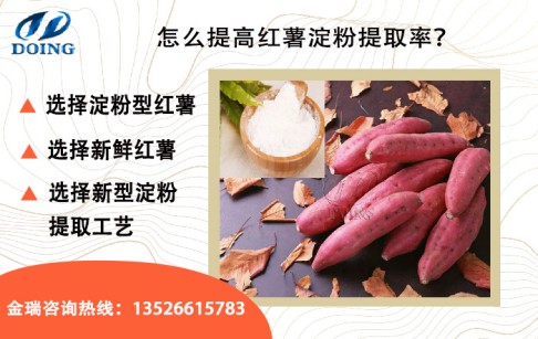 紅薯出淀粉率是多少？怎么提高紅薯出淀粉率？