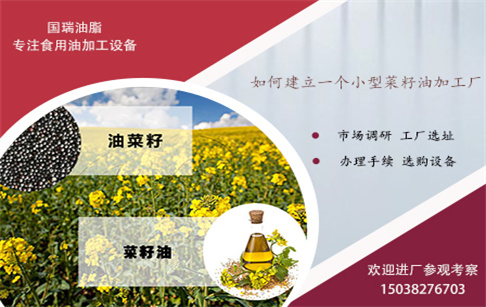 如何建立一個(gè)小型菜籽油加工廠?