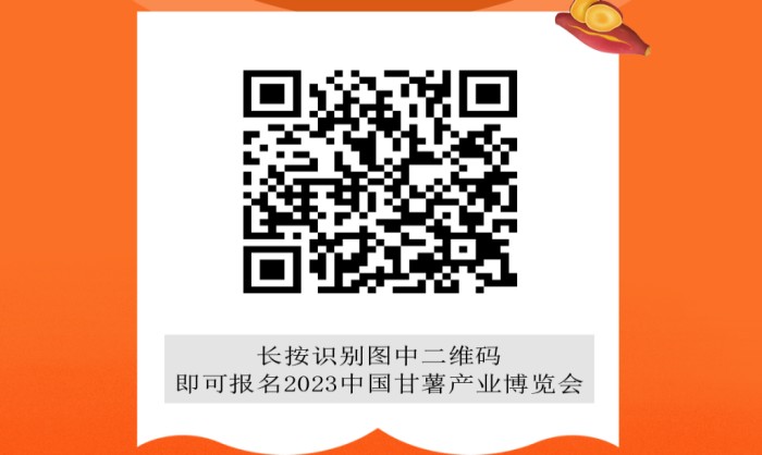 甘薯博覽會