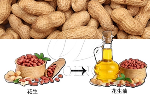 壓榨花生油需要精煉嗎？壓榨油好還是精煉油好？