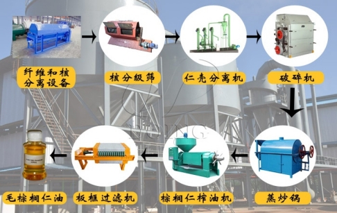 棕櫚仁專用榨油機(jī)出油率高嗎？如何選擇棕櫚仁油壓榨設(shè)備？